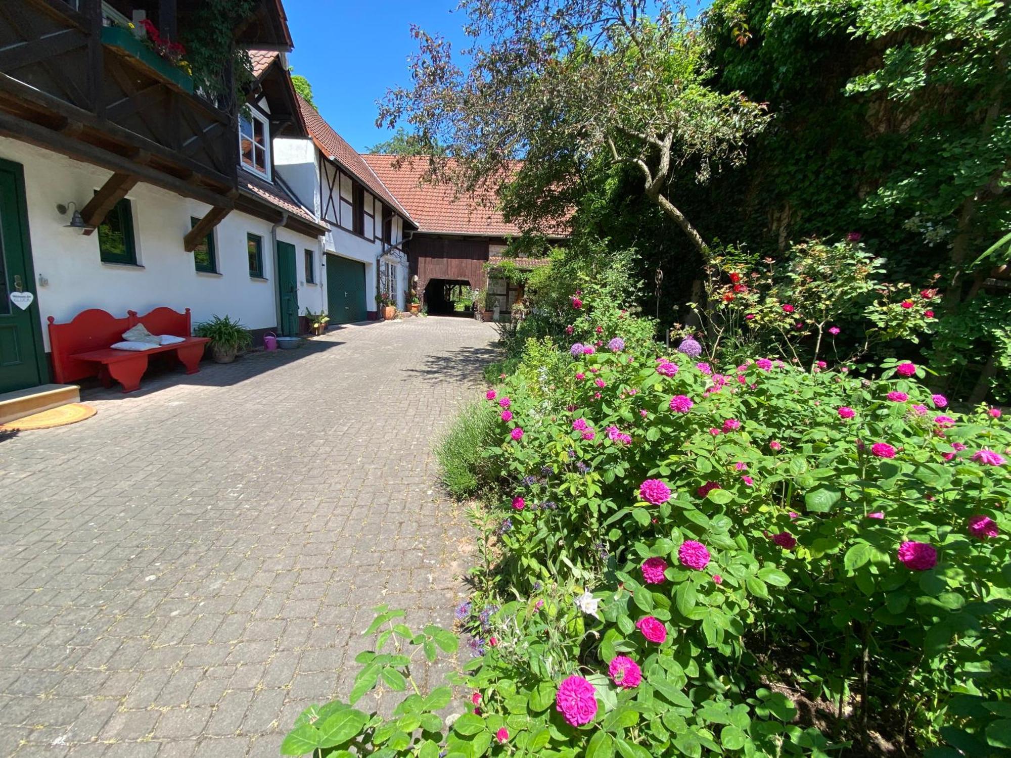 Wohnen & Kunst Apartment Bad Rodach Exterior photo